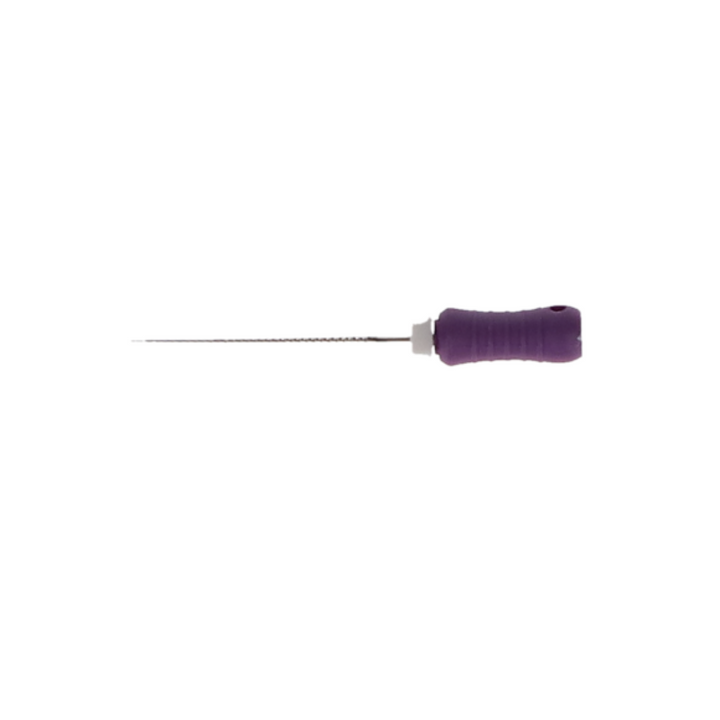 K-File, Stainless Steel, 21 mm, # 10, Purple, 6/Pk