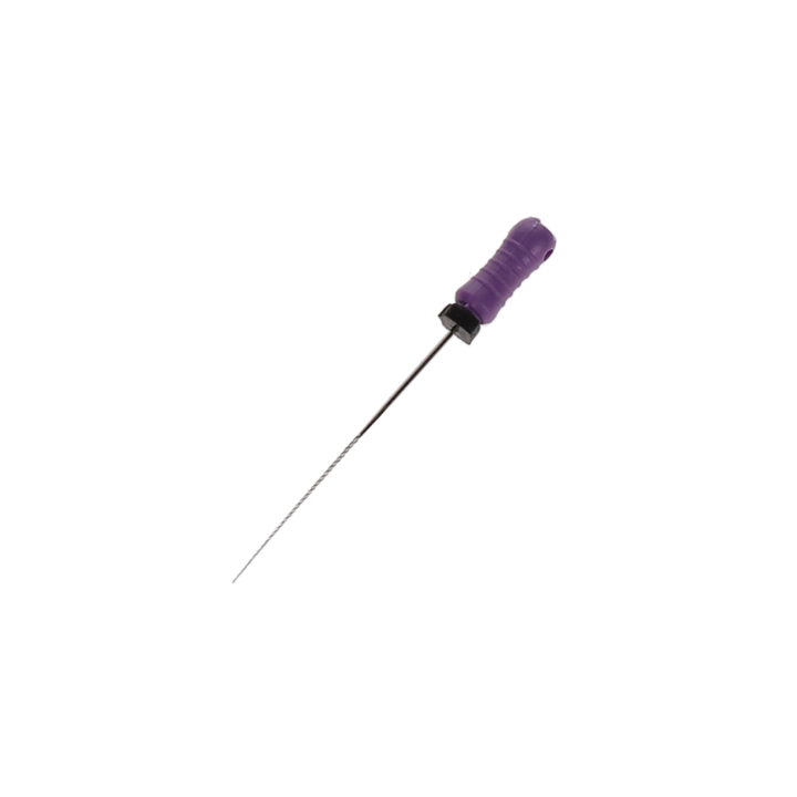 K-File, Stainless Steel, 31 mm, # 10, Purple, 6/Pk